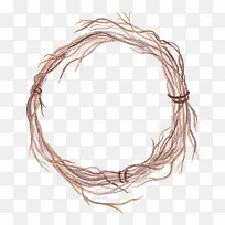 ��֦Բ��-������