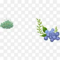 �ֻ�ɰ���ݮ��֦-������