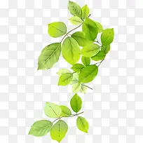 春天清新手绘树枝-空若网 春天清新手绘树枝-空若网