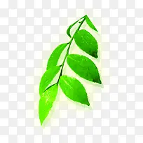 �ֻ���ɫ������Ҷ��֦-������