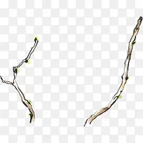 手绘唯美春季树枝-空若网 手绘唯美春季树枝-空若网