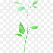 �ֻ���ɫ��֦���-������