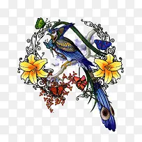 手绘鹦鹉-空若网 手绘鹦鹉-空若网