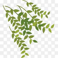 手绘绿色清新树枝枝条-空若网 手绘绿色清新树枝枝条-空若网