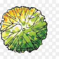 手绘树木树枝造型-空若网 手绘树木树枝造型-空若网