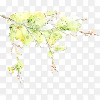 创意手绘水彩树枝树木-空若网 创意手绘水彩树枝树木-空若网