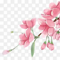 �ֻ�廭ֲ�ﻨ����֦-������