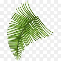 �ֻ���ɫ��ͨ��֦��״-������