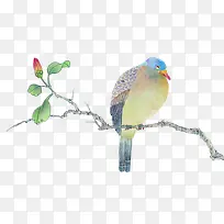 �ִ���Լ��ɫ��֦-������