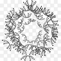 ��ɫ������֦�ֻ����-������