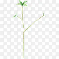 手绘绿色复古植物树枝-空若网 手绘绿色复古植物树枝-空若网