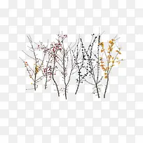 手绘树枝-空若网 手绘树枝-空若网