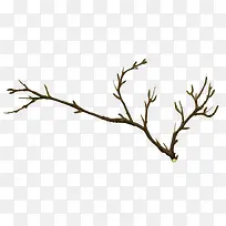 �ݵ�����֦-������