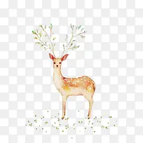 С¹ÊÖ»æ-¿ÕÈôÍø С¹ÊÖ»æ-¿ÕÈôÍø