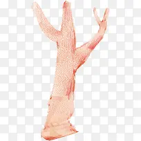 �ֻ��ɫˮ����֦-������