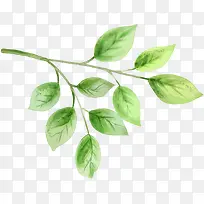 �ֻ�ˮ����Ҷ��֦װ��-������