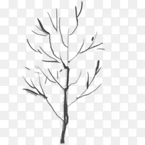 ��ɫ�ֻ���֦����-������