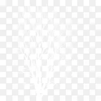 �ֻ涬��ʥ������֦-������