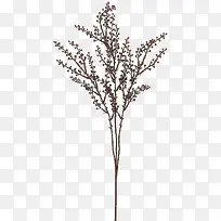 小树-空若网 小树-空若网