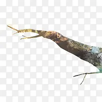 手绘冬季树枝素材-空若网 手绘冬季树枝素材-空若网