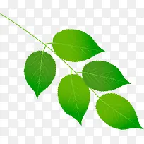 �ֻ���ɫ������Ҷ��֦-������