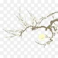 ÷���ŵ��ֻ���֦-������