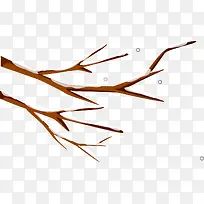 ʸ���ֻ�ɿ���֦-������