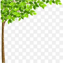 高清摄影手绘绿色树枝树叶-空若网 高清摄影手绘绿色树枝树叶-空若网