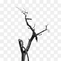 ºÚÉ«Êֻ渴¹ÅÊ÷Ö¦-¿ÕÈôÍø ºÚÉ«Êֻ渴¹ÅÊ÷Ö¦-¿ÕÈôÍø