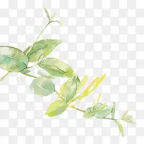 �ֻ����ɫ��Ҷ��֦-������