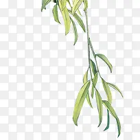 �ֻ����ɫ��Ҷ��֦װ��-������