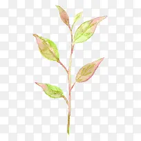 漂浮树叶-空若网 漂浮树叶-空若网