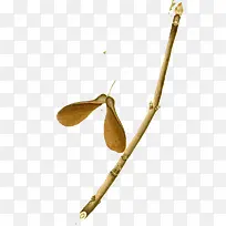 Ê÷Ö¦»ÆÉ«ÂäÒ¶ÊÖ»æ²å»-¿ÕÈôÍø Ê÷Ö¦»ÆÉ«ÂäÒ¶ÊÖ»æ²å»-¿ÕÈôÍø