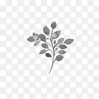 漂浮树枝-空若网 漂浮树枝-空若网