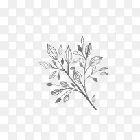 Ư����֦-������