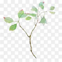 手绘绿色树枝-空若网 手绘绿色树枝-空若网