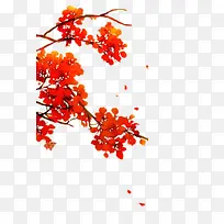 手绘复古红色花朵树枝-空若网 手绘复古红色花朵树枝-空若网