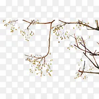 手绘树枝-空若网 手绘树枝-空若网