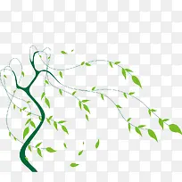 绿色柳树-空若网 绿色柳树-空若网