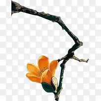 手绘树枝花朵插图-空若网 手绘树枝花朵插图-空若网