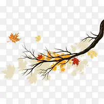 �ֻ��ɫ��Ҷ��ɫ��֦-������