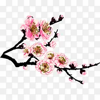 �ֻ��ɫ÷����֦����-������