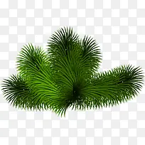 ��ɫ�ֻ���֦ʥ������-������