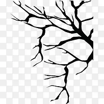 �ֻ��ɫ��ʥ����֦-������