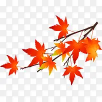 �ֻ��ɫ��Ҷ��֦-������