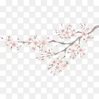 手绘古风花朵树枝-空若网 手绘古风花朵树枝-空若网