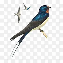 �ֻ�����-������