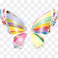 蝴蝶昆虫-蝴蝶边界-空若网 蝴蝶昆虫-蝴蝶边界-空若网