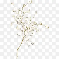 手绘树枝植物-空若网 手绘树枝植物-空若网