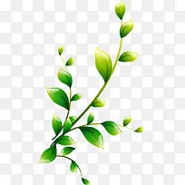 �ֻ���ɫ��֦��Ҷ-������